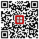 標題