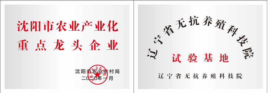 資質(zhì)榮譽(yù) 