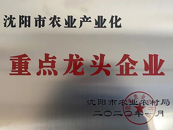 資質(zhì)榮譽(yù) 