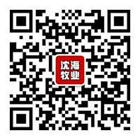 圖片1.png
